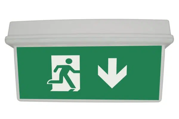 senso-exit-0306 – bild 5